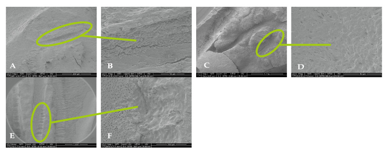 Figure 8