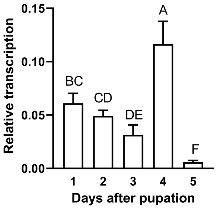 Figure 7