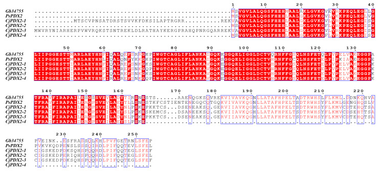 Figure 6