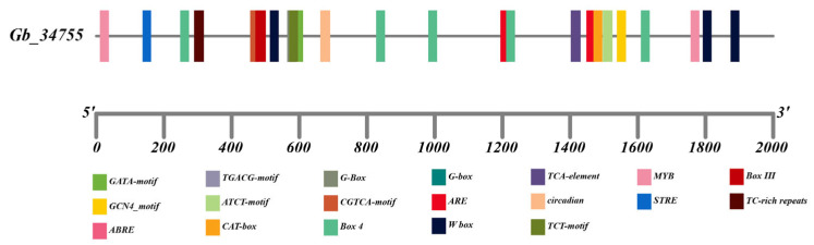 Figure 7