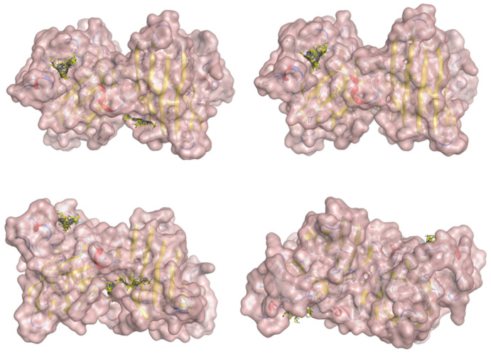 Figure 20