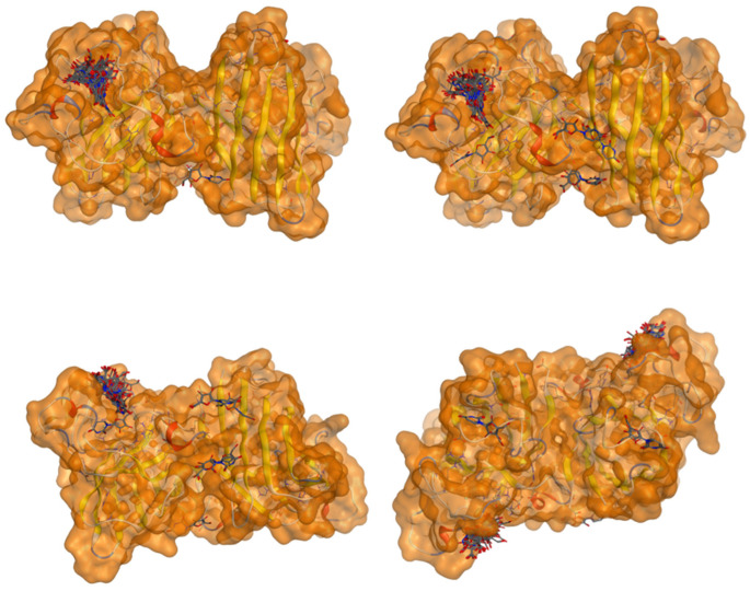 Figure 21