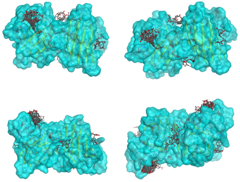 Figure 22