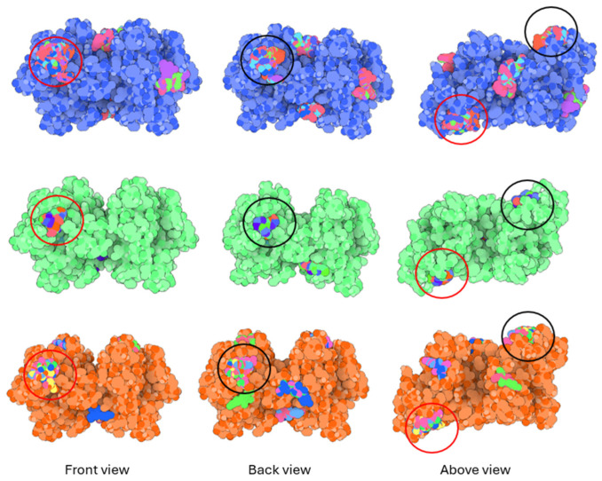 Figure 23