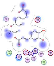 Figure 24