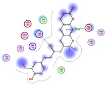 Figure 26