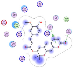 Figure 28