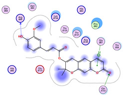 Figure 30