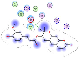 Figure 31