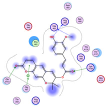 Figure 32