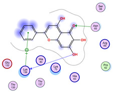 Figure 34