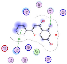 Figure 37