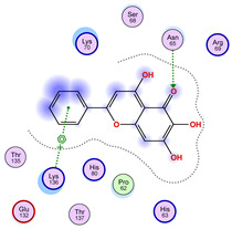 Figure 41