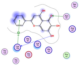 Figure 42