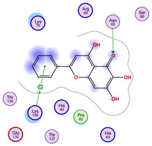 Figure 43