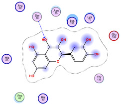 Figure 50