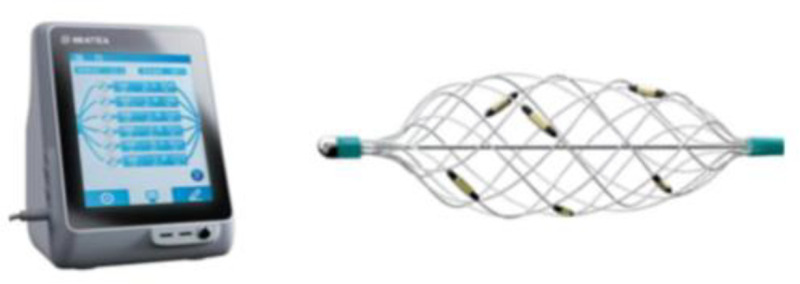 Fig 1