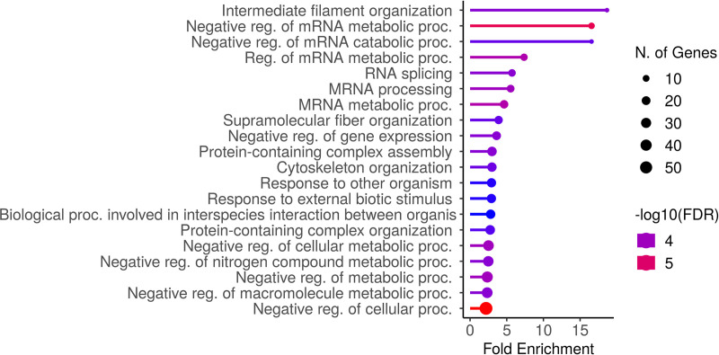 Fig 5