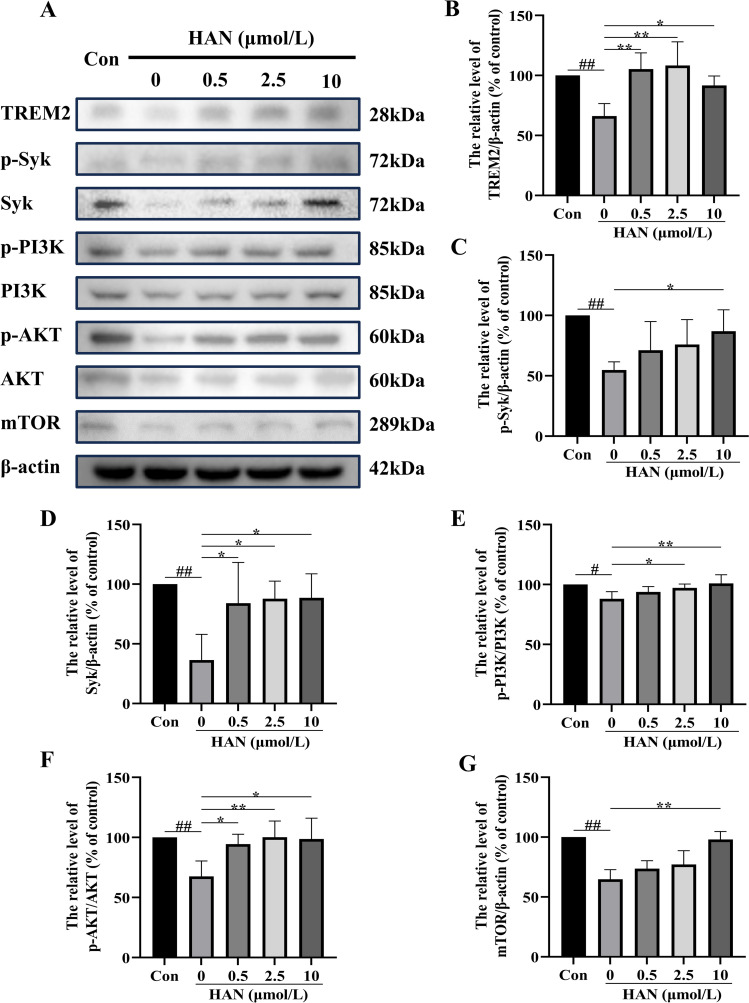 Fig 12