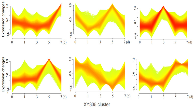 Figure 7