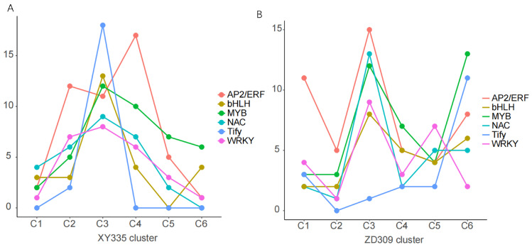 Figure 11