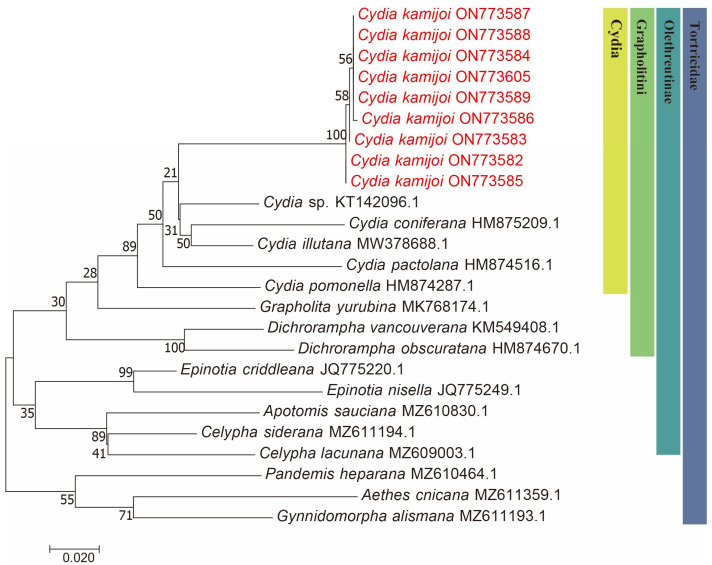 Figure 2
