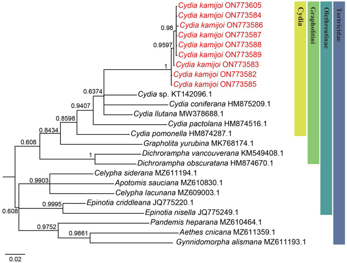 Figure 3