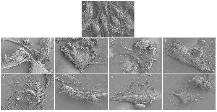 Figure 17
