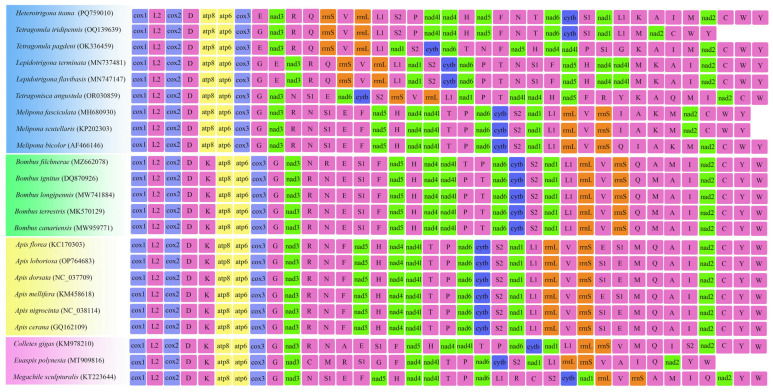 Figure 5