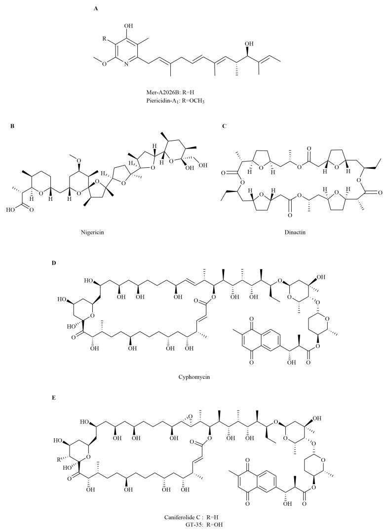 Figure 4