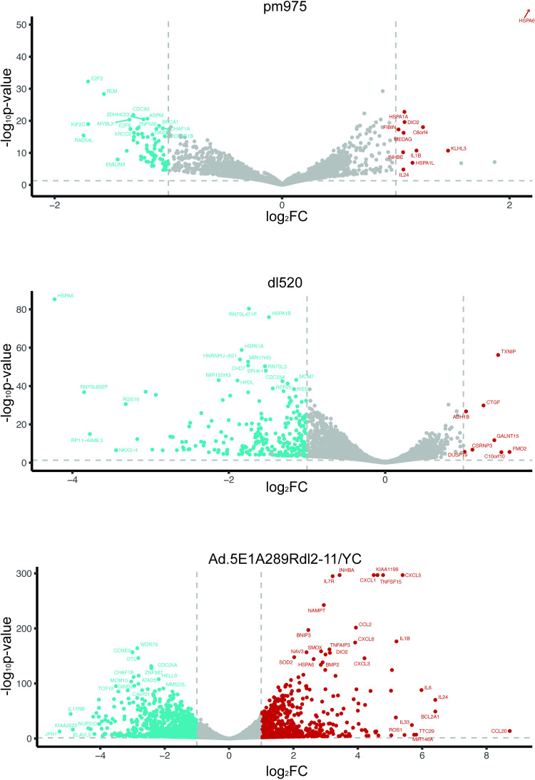 Fig 5