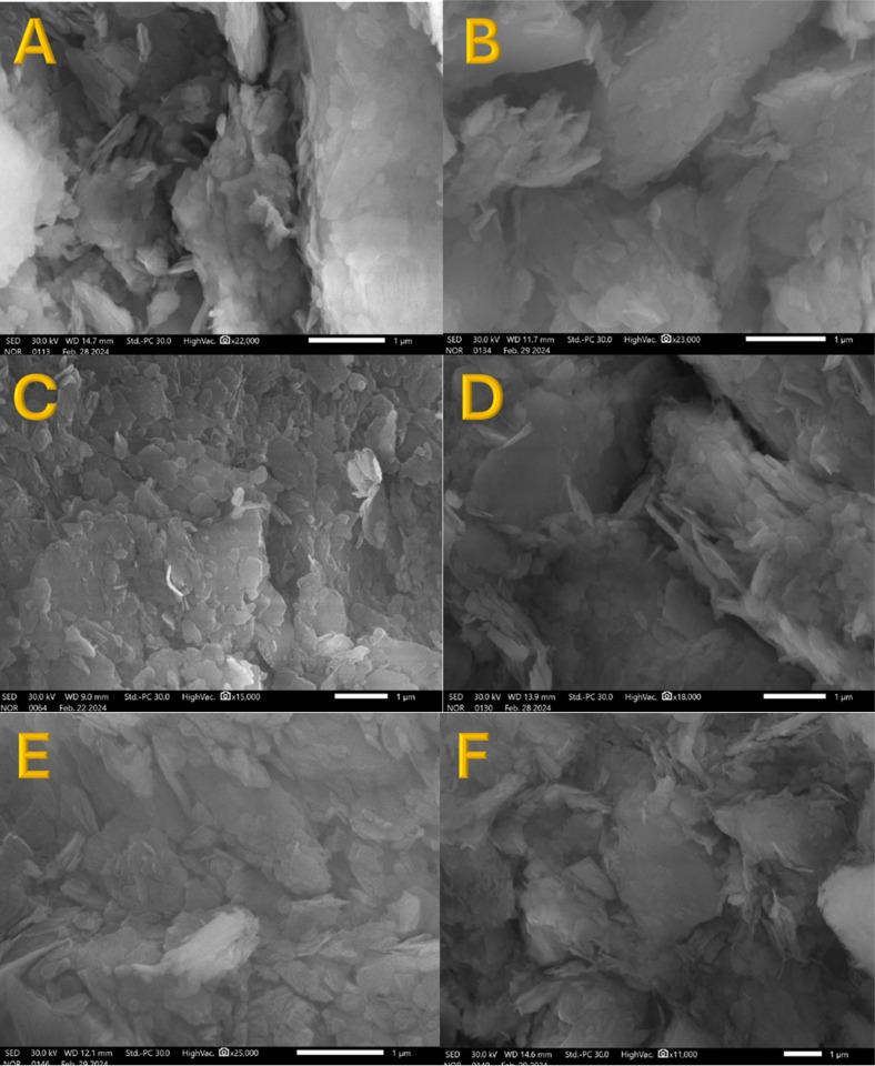 Fig 7