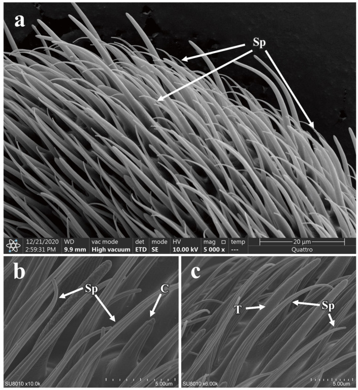Figure 10