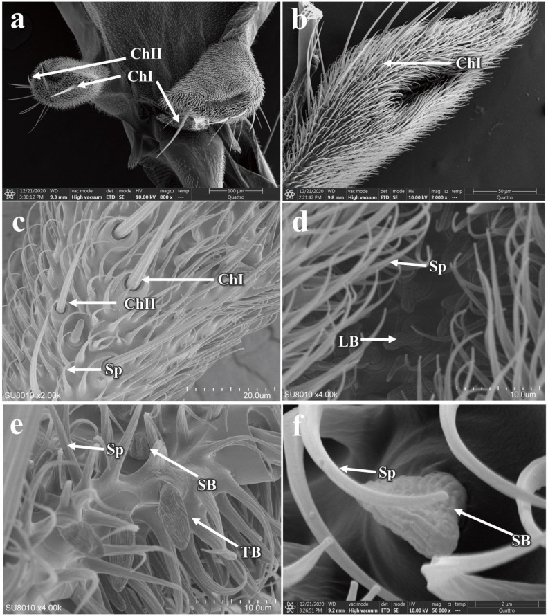 Figure 11