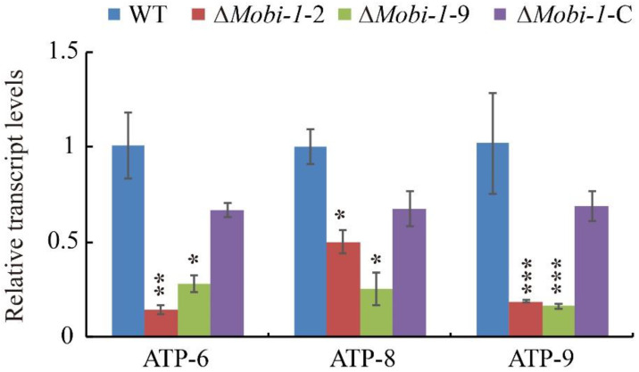 Figure 7