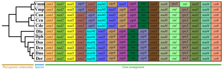 Figure 7