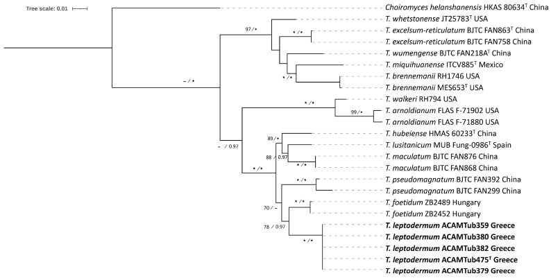 Figure 5