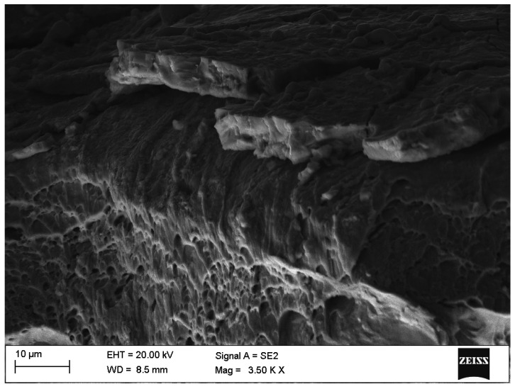 Figure 10