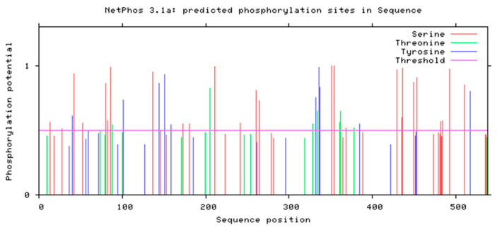 Figure 6