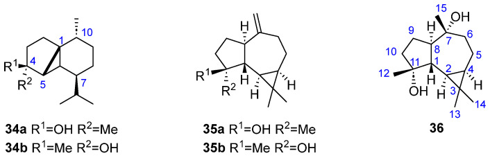 Figure 8