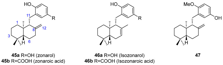 Figure 13