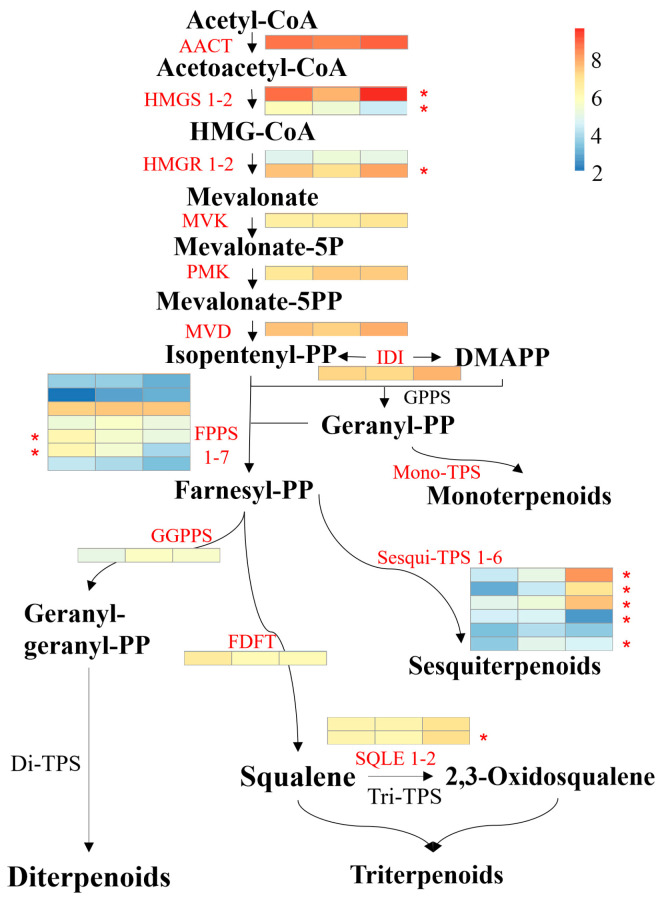 Figure 7