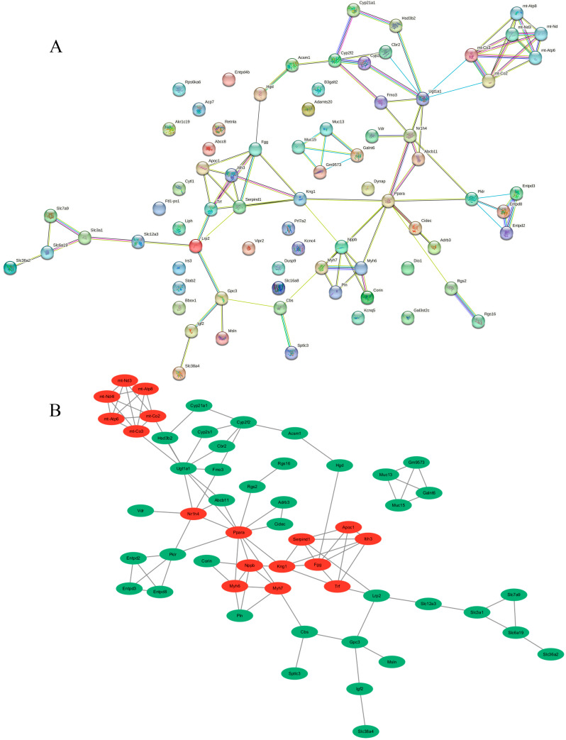 Figure 5