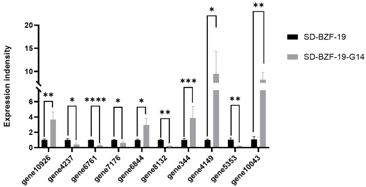 Figure 7