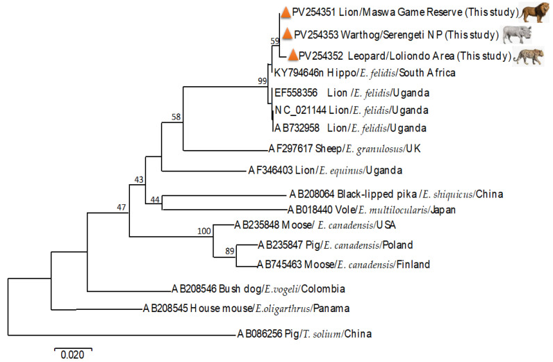 Figure 3