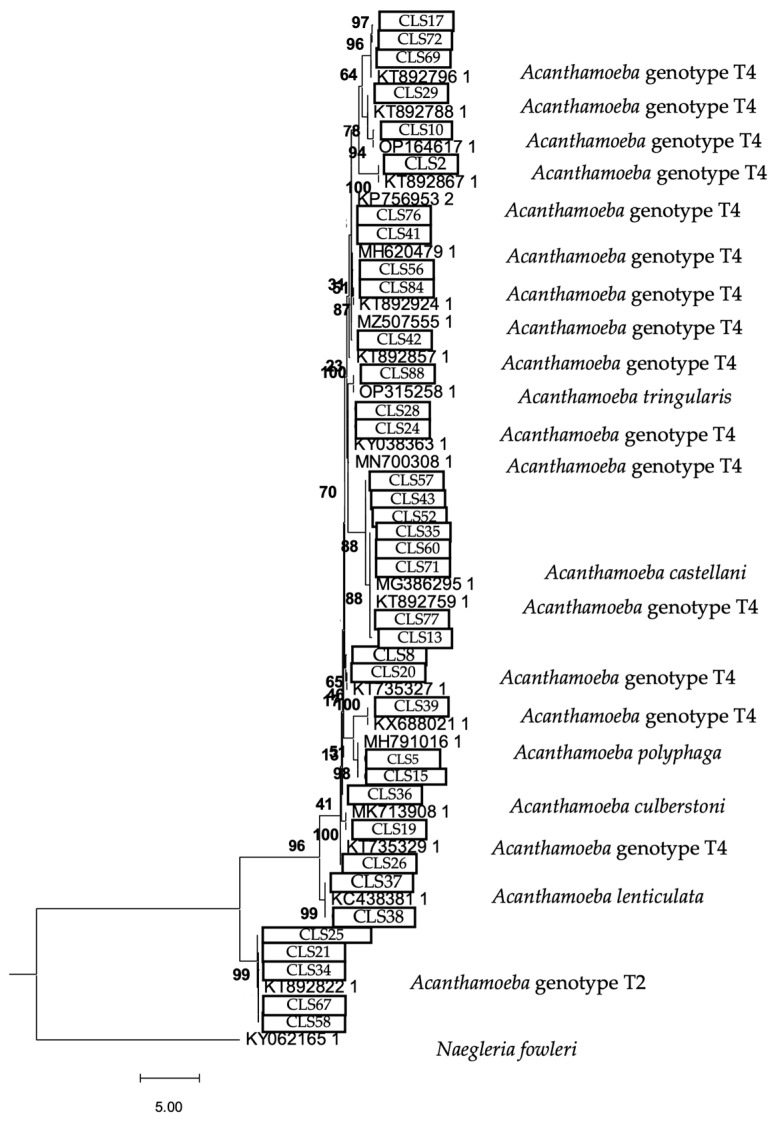 Figure 5