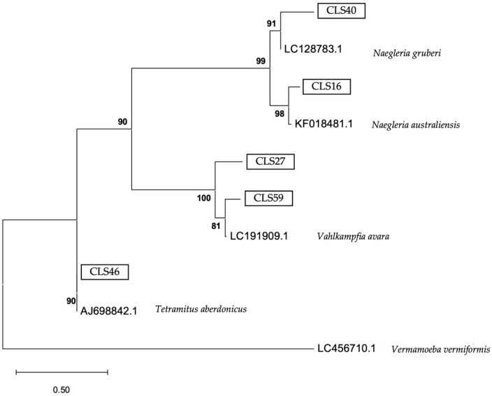 Figure 7