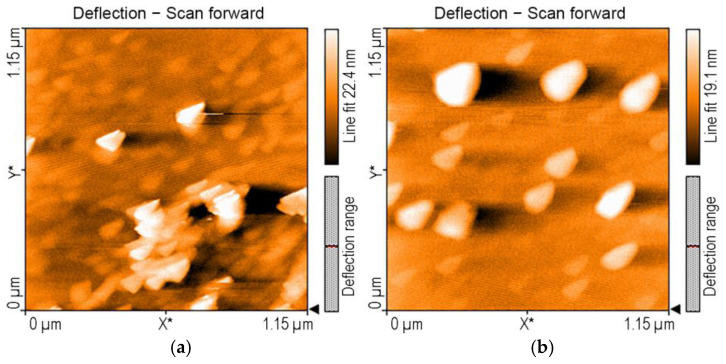 Figure 10