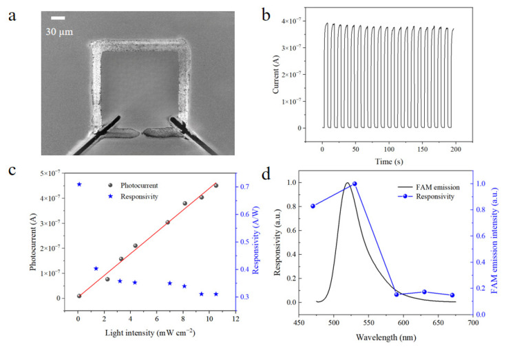 Figure 5