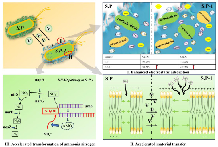 Figure 16